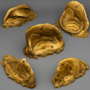 Sharp Desert Stones - Fantastic Plants and Rocks | 28mm and 32mm | Wargaming | DnD | Tabletop Roleplaying