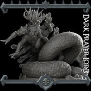 Dark Prayer Lord - Rocket Pig Games | 28mm and 32mm | Wargaming | DnD | Tabletop Roleplaying
