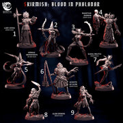 Blood in Phaladar, Skirmish Warband - Goetia Miniatures | 28mm and 32mm | Wargaming | DnD | Tabletop Roleplaying