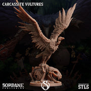 Carcassite Vulture. Undead Giant Vulture - Sordane Publishing | 28mm and 32mm | Wargaming | DnD | Tabletop Roleplaying