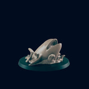 Orca - Ec3d | 28mm and 32mm | Wargaming | DnD | Tabletop Roleplaying