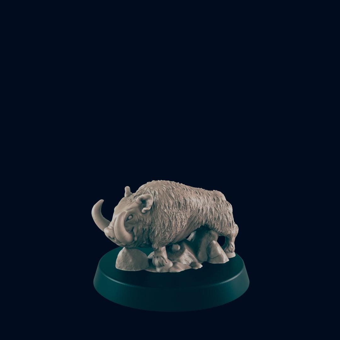 Boar - Ec3d | 28mm and 32mm | Wargaming | DnD | Tabletop Roleplaying