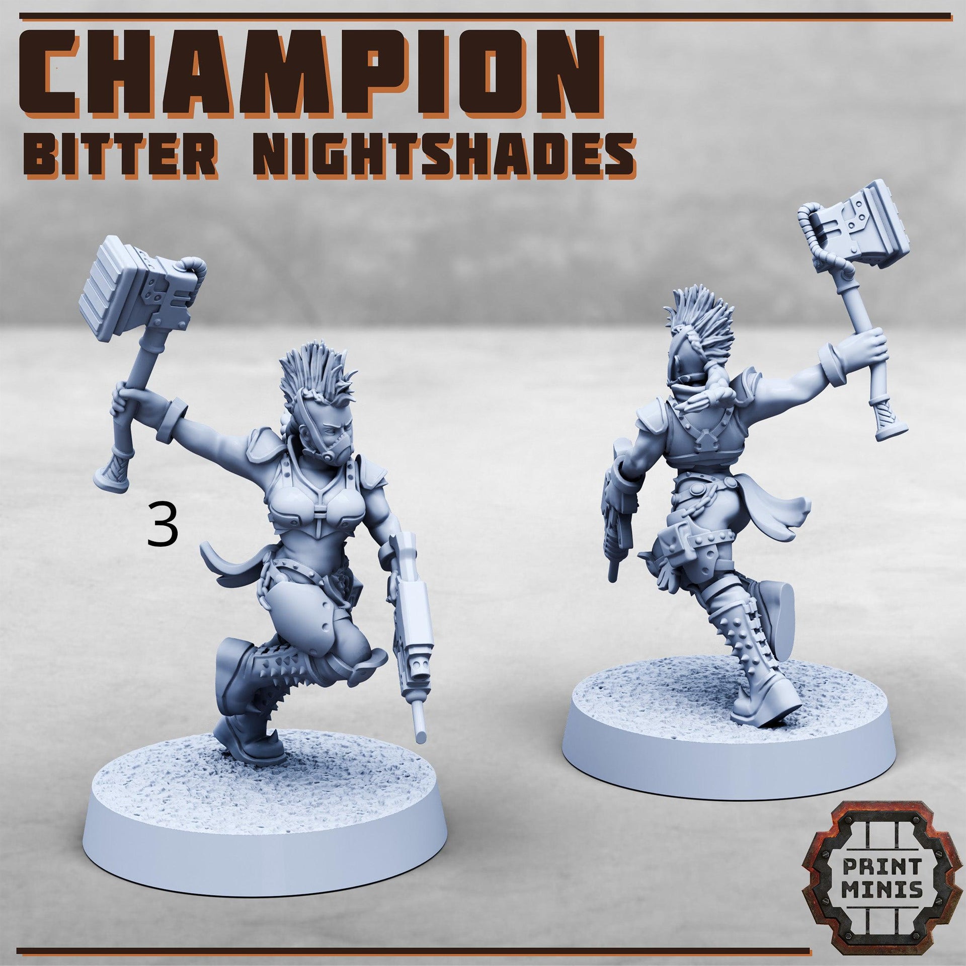 Nightshade champions - Print Minis | 28mm and 32mm | Wargaming | DnD | Tabletop Roleplaying