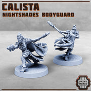 Nightshade bodyguard - Print Minis | 28mm and 32mm | Wargaming | DnD | Tabletop Roleplaying