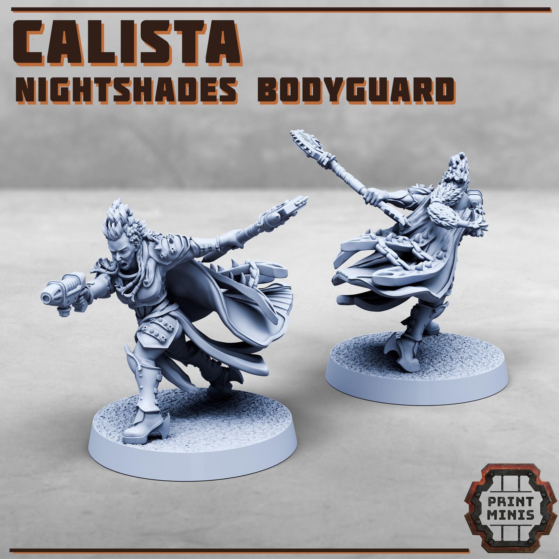 Nightshade bodyguard - Print Minis | 28mm and 32mm | Wargaming | DnD | Tabletop Roleplaying