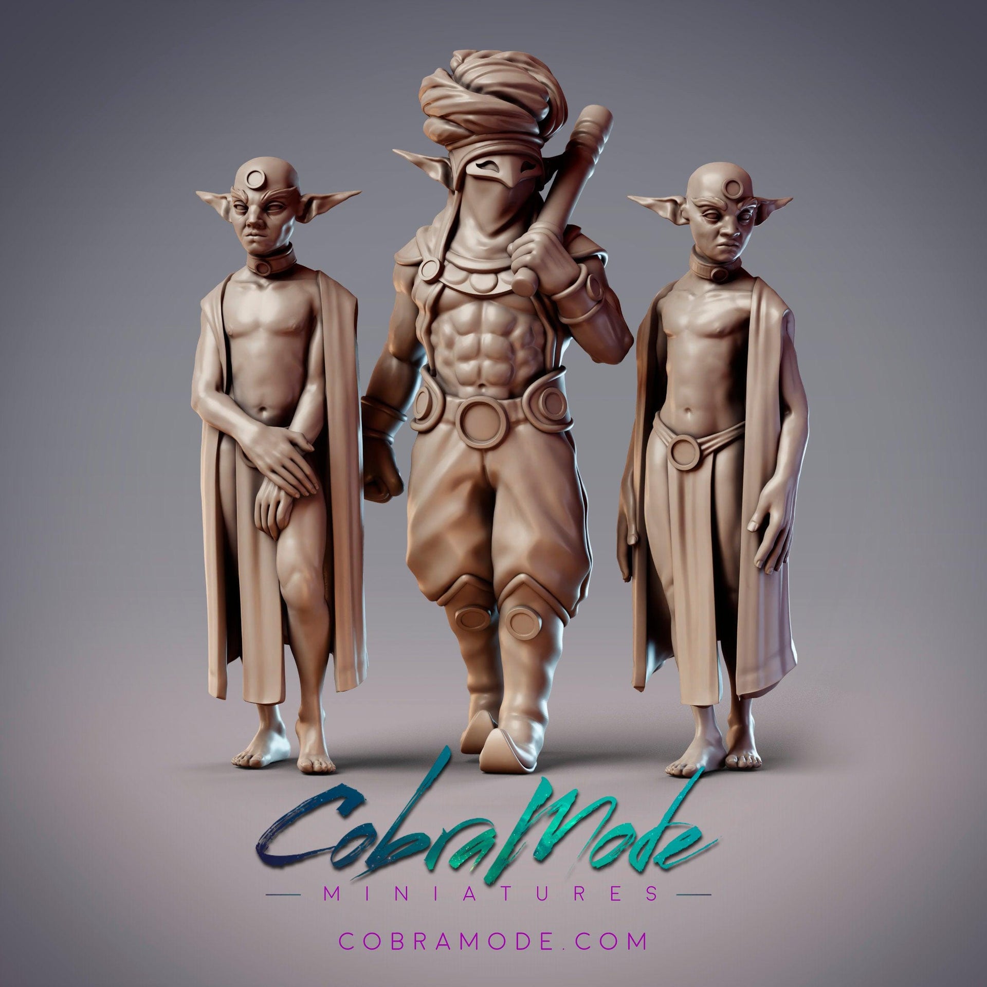 Usurer Overseer Shadid & Debtors, Elf Bodyguard - CobraMode | 28mm and 32mm | Wargaming | DnD | Tabletop Roleplaying