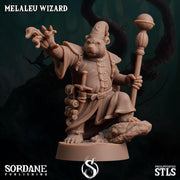 Melaleu Wizard , Pandafolk Mage - Sordane Publishing | 28mm and 32mm | Wargaming | DnD | Tabletop Roleplaying