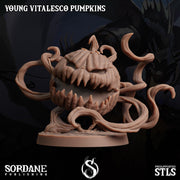Young Vitalesco Pumpkin - Sordane Publishing | 28mm and 32mm | Wargaming | DnD | Tabletop Roleplaying