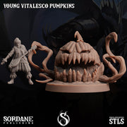 Young Vitalesco Pumpkin - Sordane Publishing | 28mm and 32mm | Wargaming | DnD | Tabletop Roleplaying