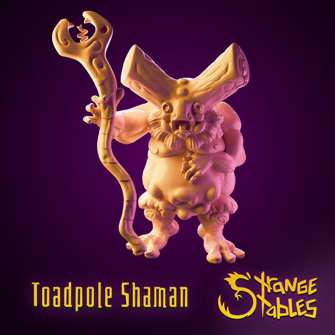 Toadpole Shaman - Strange Stables | 28mm and 32mm | Wargaming | DnD | Tabletop Roleplaying