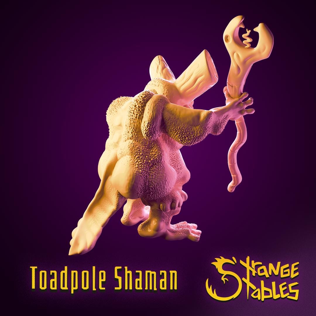 Toadpole Shaman - Strange Stables | 28mm and 32mm | Wargaming | DnD | Tabletop Roleplaying