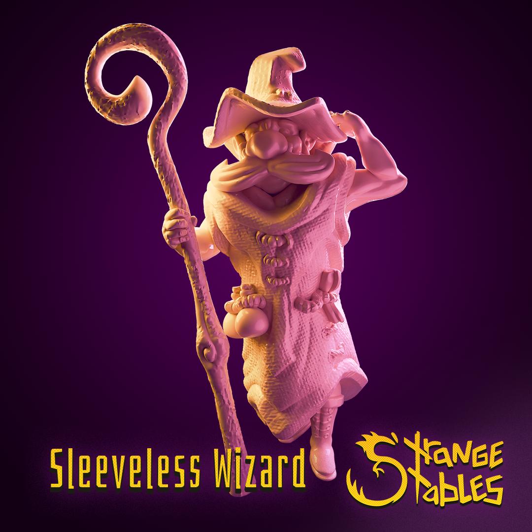 Sleeveless Wizard - Strange Stables | 28mm and 32mm | Wargaming | DnD | Tabletop Roleplaying