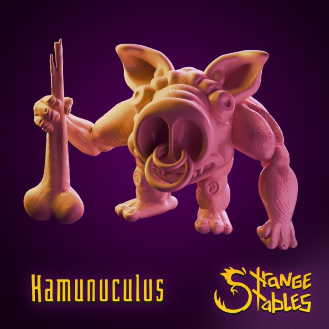 Hamunculus, Pig Barbarian - Strange Stables | 28mm and 32mm | Wargaming | DnD | Tabletop Roleplaying