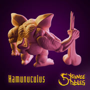 Hamunculus, Pig Barbarian - Strange Stables | 28mm and 32mm | Wargaming | DnD | Tabletop Roleplaying