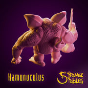 Hamunculus, Pig Barbarian - Strange Stables | 28mm and 32mm | Wargaming | DnD | Tabletop Roleplaying
