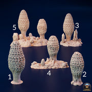 Giant Morel Mushroom Terrain - Fungal Tunnels by 3DHexes | Big Fungus Terrain for Roleplaying and Gaming | Shroom