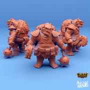 Ketsudo Barbarian, Turtle folk Knight - Arcane Minis | 32mm | Carren Pirates | Hammer | Shield | Mace | Fighter | Mercenary | Bandit