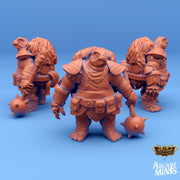 Ketsudo Barbarian, Turtle folk Knight - Arcane Minis | 32mm | Carren Pirates | Hammer | Shield | Mace | Fighter | Mercenary | Bandit