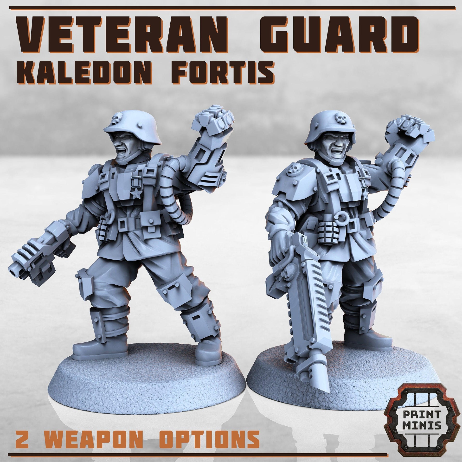 Kaledon Veteran Guard - Print Minis | Sci Fi | Light Infantry | Imperial | 28mm Heroic | Guard | Captain | Power Fist