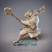 Desert Hikiga Monk Tajima - CobraMode