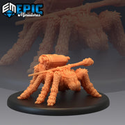 Spider Adventurer Warlock - Epic Miniatures
