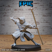 Owl Folk Monk - Epic Miniatures | Mighty Heroes | 28mm | 32mm | Sorcerer | PC | Traveler