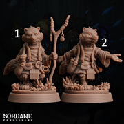 Rathkon Herbalist, Racoon Druid - Sordane Publishing | 28mm and 32mm | Wargaming | DnD | Tabletop Roleplaying