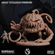 Adult Vitalesco Pumpkin - Sordane Publishing | 28mm and 32mm | Wargaming | DnD | Tabletop Roleplaying