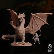 Young Red Dragon - Sordane Publishing | 28mm and 32mm | Wargaming | DnD | Tabletop Roleplaying