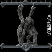 WereSpider - Rocket Pig Games | 28mm and 32mm | Wargaming | DnD | Tabletop Roleplaying