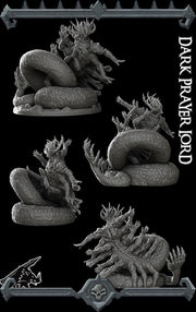Dark Prayer Lord - Rocket Pig Games | 28mm and 32mm | Wargaming | DnD | Tabletop Roleplaying
