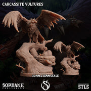 Carcassite Vulture. Undead Giant Vulture - Sordane Publishing | 28mm and 32mm | Wargaming | DnD | Tabletop Roleplaying