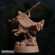 Umbriel Elf Cleric, Dark Elf Paladin - Sordane Publishing | 28mm and 32mm | Wargaming | DnD | Tabletop Roleplaying