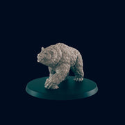 Bear - Ec3d | 28mm and 32mm | Wargaming | DnD | Tabletop Roleplaying