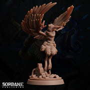 Aaris Rogue, Amakalee - Sordane Publishing | 28mm and 32mm | Wargaming | DnD | Tabletop Roleplaying