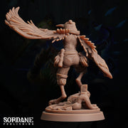 Aaris Rogue, Amakalee - Sordane Publishing | 28mm and 32mm | Wargaming | DnD | Tabletop Roleplaying