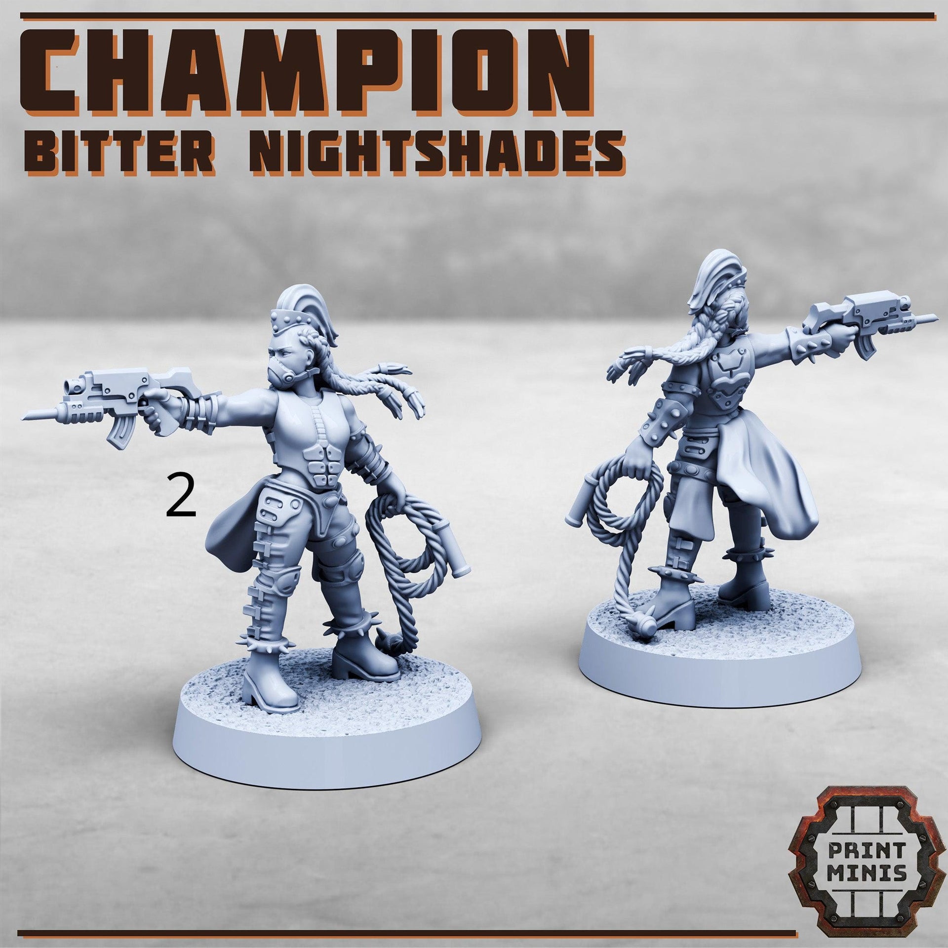 Nightshade champions - Print Minis | 28mm and 32mm | Wargaming | DnD | Tabletop Roleplaying