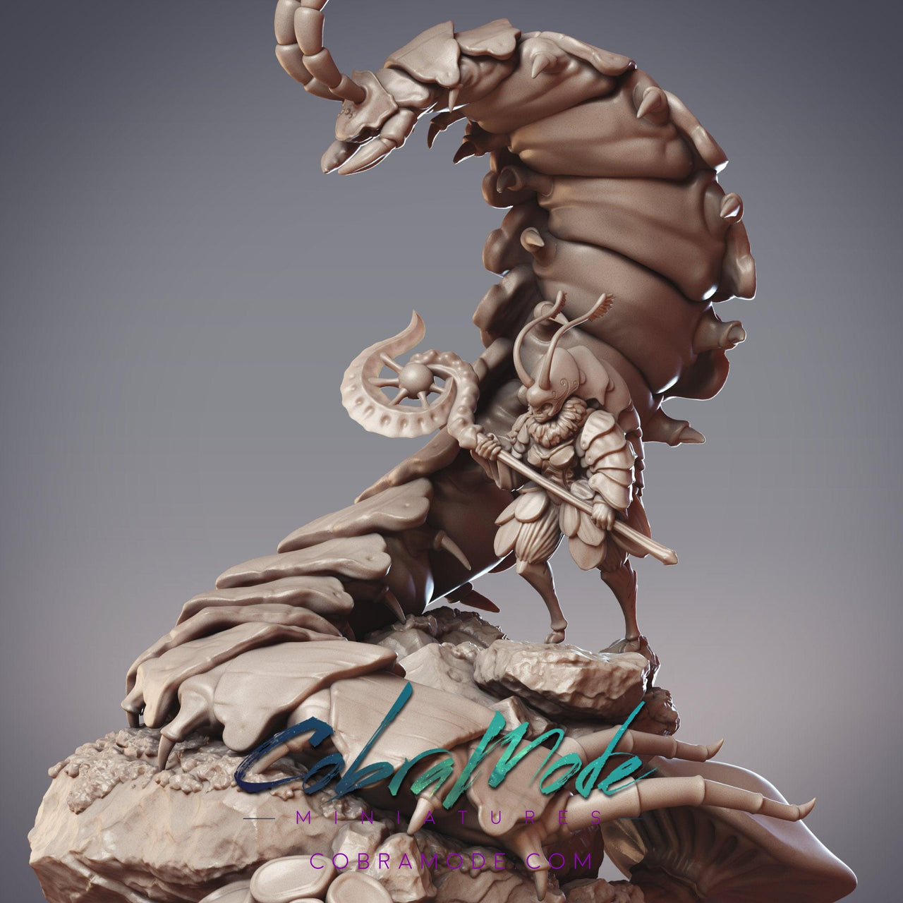 Fidelium Warrior Setina with Colossal Centipede Mordax - CobraMode | 28mm and 32mm | Wargaming | DnD | Tabletop Roleplaying