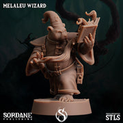 Melaleu Wizard , Pandafolk Mage - Sordane Publishing | 28mm and 32mm | Wargaming | DnD | Tabletop Roleplaying