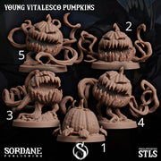 Young Vitalesco Pumpkin - Sordane Publishing | 28mm and 32mm | Wargaming | DnD | Tabletop Roleplaying