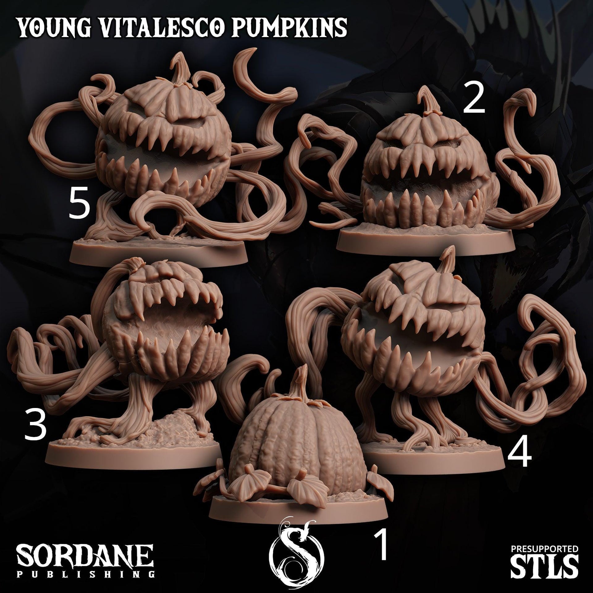 Young Vitalesco Pumpkin - Sordane Publishing | 28mm and 32mm | Wargaming | DnD | Tabletop Roleplaying