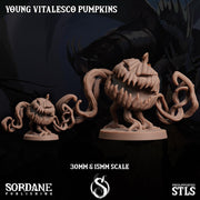 Young Vitalesco Pumpkin - Sordane Publishing | 28mm and 32mm | Wargaming | DnD | Tabletop Roleplaying