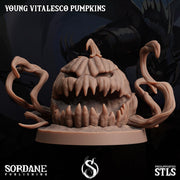 Young Vitalesco Pumpkin - Sordane Publishing | 28mm and 32mm | Wargaming | DnD | Tabletop Roleplaying