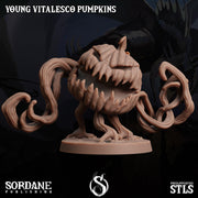 Young Vitalesco Pumpkin - Sordane Publishing | 28mm and 32mm | Wargaming | DnD | Tabletop Roleplaying