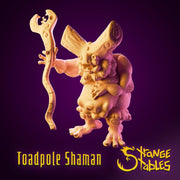 Toadpole Shaman - Strange Stables | 28mm and 32mm | Wargaming | DnD | Tabletop Roleplaying