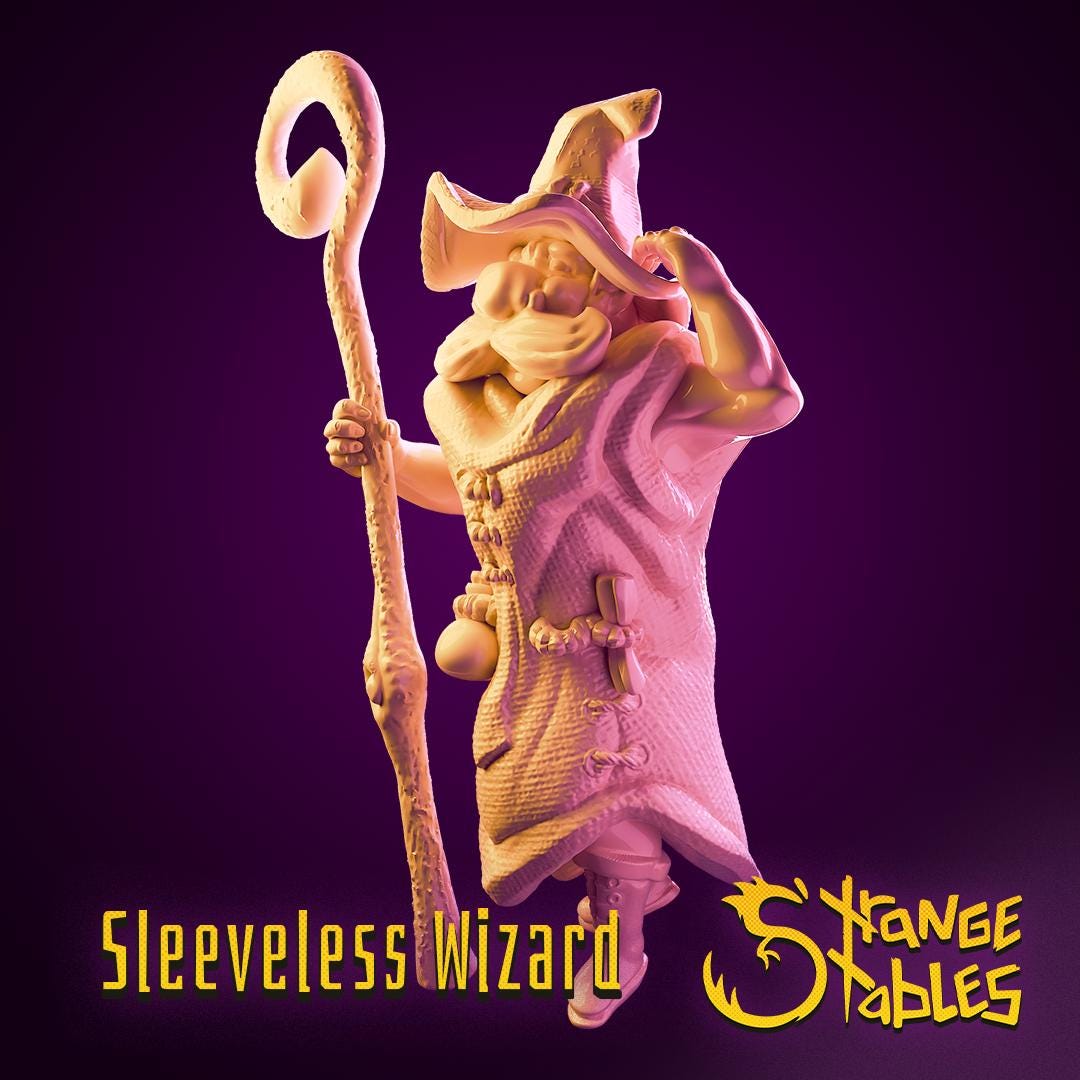 Sleeveless Wizard - Strange Stables | 28mm and 32mm | Wargaming | DnD | Tabletop Roleplaying