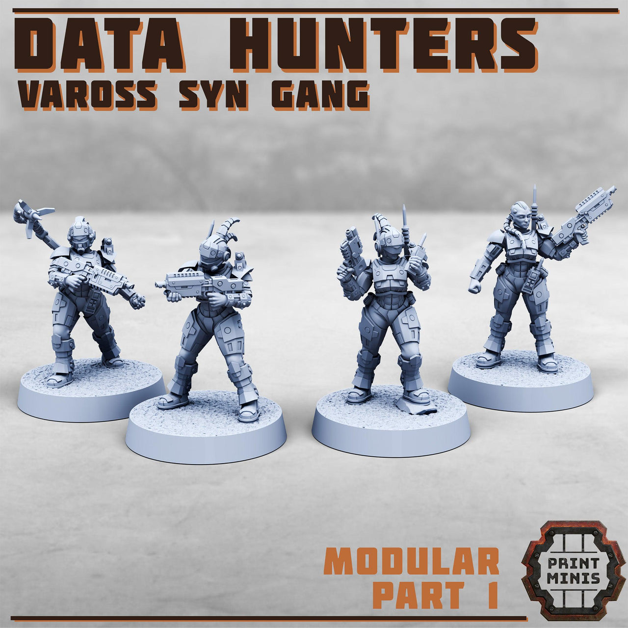 Data Hunters, Modular Vaross Syn Gang- Print Minis | 28mm and 32mm | Wargaming | DnD | Tabletop Roleplaying