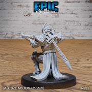 Platinum Paladin - Epic Miniatures | 28mm and 32mm | Wargaming | DnD | Tabletop Roleplaying