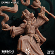 Kanaru Wizard - Sordane Publishing | 28mm and 32mm | Wargaming | DnD | Tabletop Roleplaying