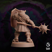 Cappy Paladin, Capybara Knight- Arcane Minis | 32mm | The Skybreaker Chronicles | Capybara folk